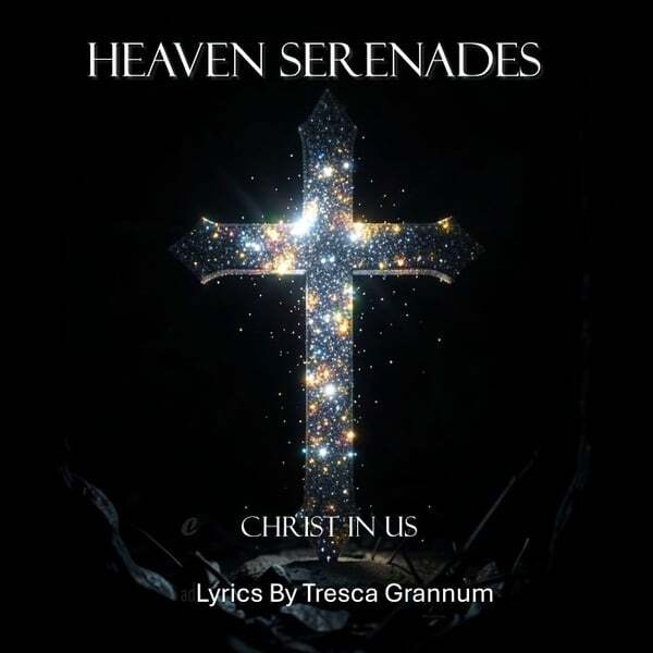 Cover art for CHRIST IN US